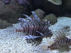 -成都浩海立方海洋公园