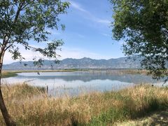 -野鸭湖国家湿地公园