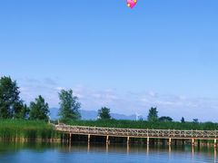 -野鸭湖国家湿地公园