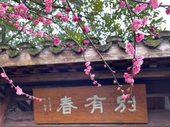 -杭州植物园