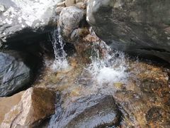 -广州市流溪河国家森林公园