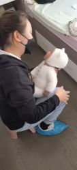 -小熊维尼高端儿童摄影(罗湖区总店)
