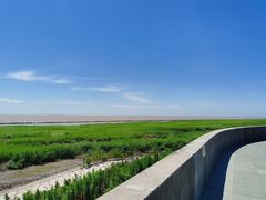 -南汇嘴观海公园