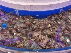 -澜悦港海鲜体验主题餐厅