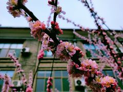 -山东师范大学(千佛山校区)