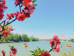 -天津水上公园