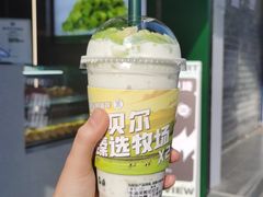 -茉酸奶(春熙路店)
