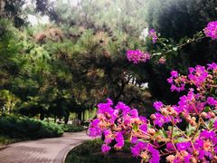 -玲珑塔公园