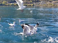 -丽江泸沽湖景区