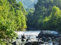 -石台牯牛降景区