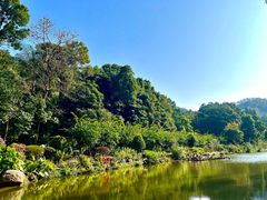 -深圳仙湖植物园
