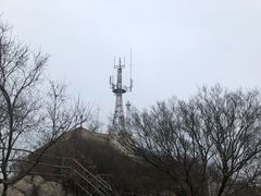 -紫金山山顶公园