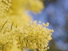 -厦门国家会计学院