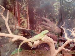 -多彩贵州城极地海洋世界