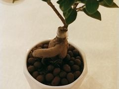 -香宫中餐厅·大连香格里拉(人民路店)