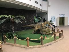 -陕西自然博物馆