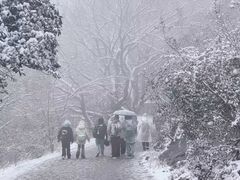 -紫金山山顶公园