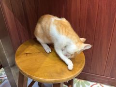 -曼谷食堂·泰国家庭料理(丹桂路店)