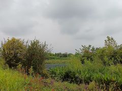 -两河城市森林公园