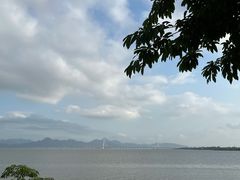 -深圳湾公园(南山区)
