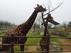 -西安秦岭野生动物园