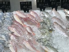 -AEON永旺(东方宝泰店)