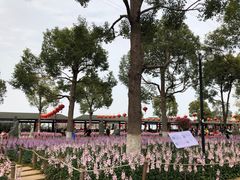 -仙岳公园