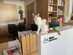 -首开寸草亚运村养老院