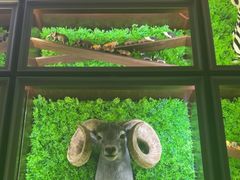 -彩虹之约•淮扬家宴(亚运村店)
