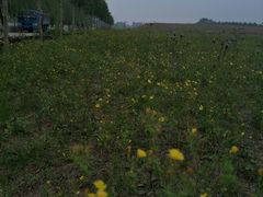 在四季中春是最美的。他是开始-月河湾马术俱乐部(朝阳店)