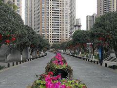 -重庆市江北嘴中央商务区中央公园