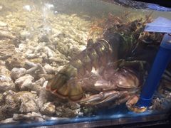 -盒马鲜生(曜一城店)