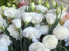 -雪蔓之鲜花气球派对(家佳源时代中心店)