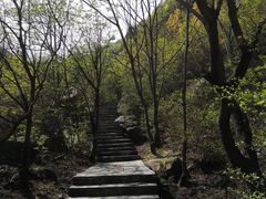 -野三坡百草畔景区