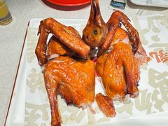 -大鸽饭(动物园店)