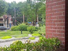 -星巴克(红房子店)