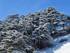 -华山风景名胜区