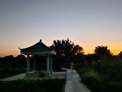-鹤之洲湿地公园