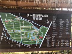 -上海长兴岛郊野公园