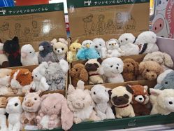 -KIDSLAND(北京蓝色港湾店)