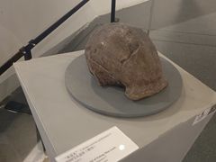 -北京周口店北京人遗址博物馆