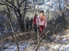 -蟠龙山长城景区