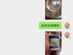 -翊宠yipet猫狗购宠庄园犬舍•猫舍