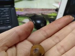 -小宝栗子(嘉华国际商业中心店)