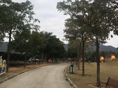 -天适樱花悠乐园