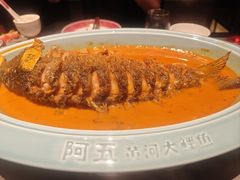 -阿五黄河大鲤鱼(建业路店)