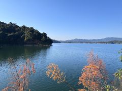 -广州市流溪河国家森林公园