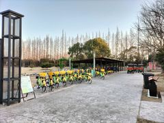 -上海长兴岛郊野公园