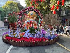-越秀西湖花市(广州城市广场花卉店)