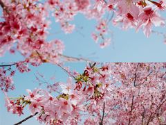 -福建鲤鱼洲酒店